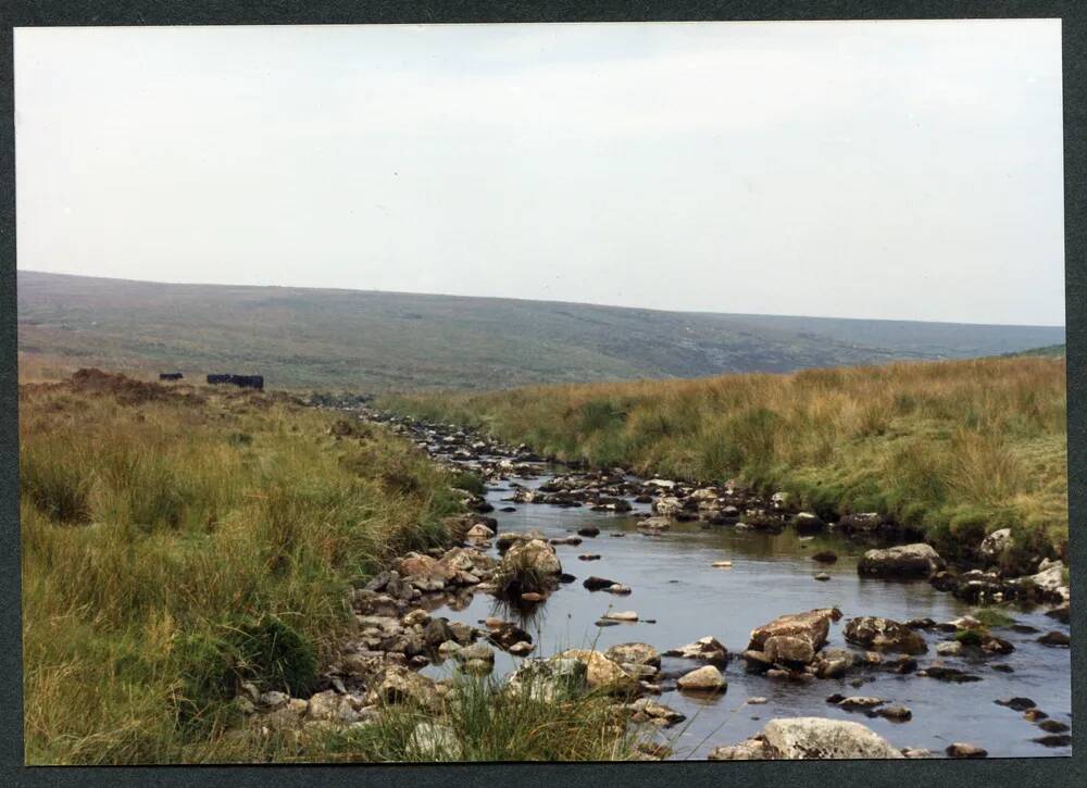 An image from the Dartmoor Trust Archive