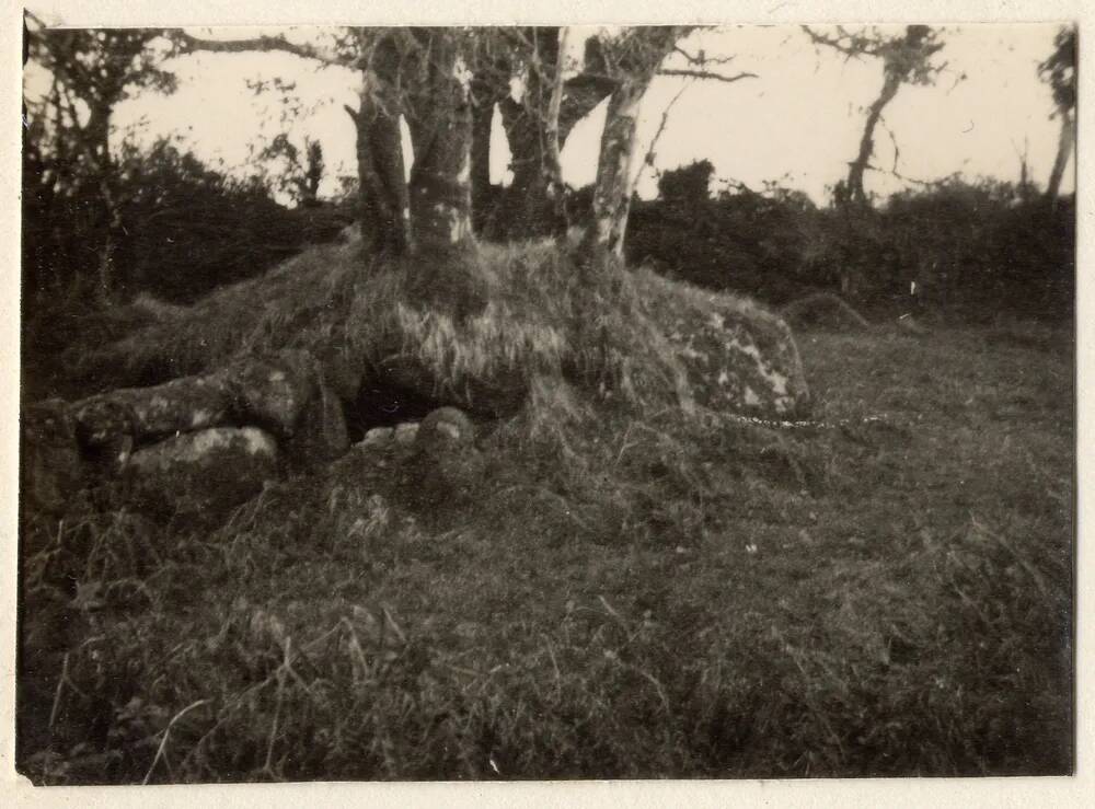 Cache near Davytown, by Long Ash track