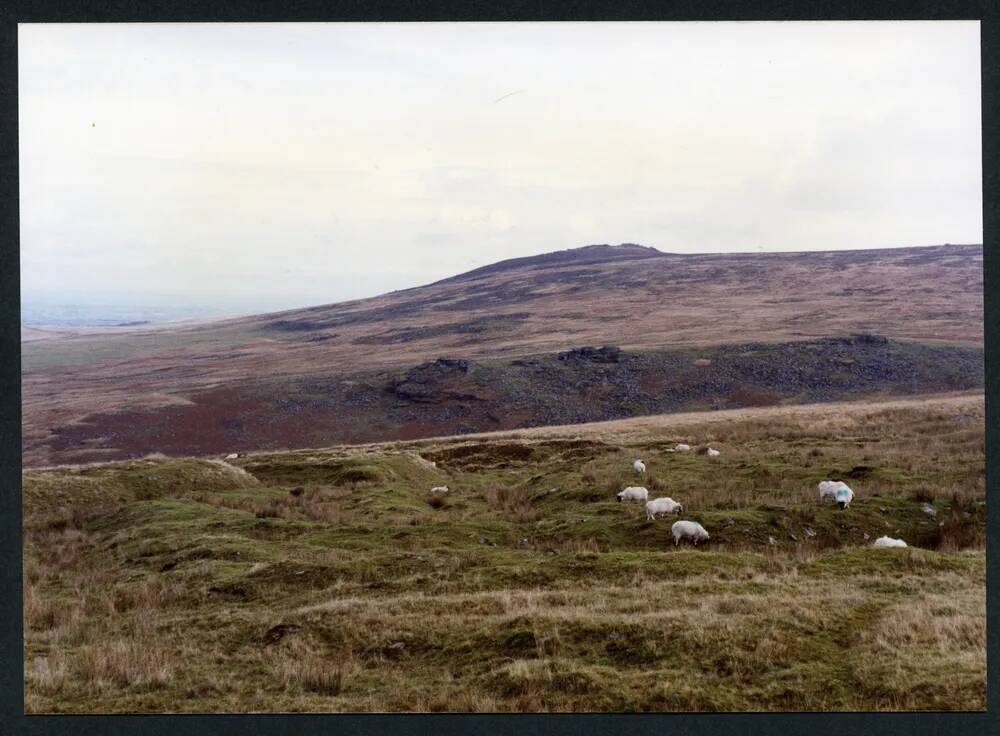 An image from the Dartmoor Trust Archive