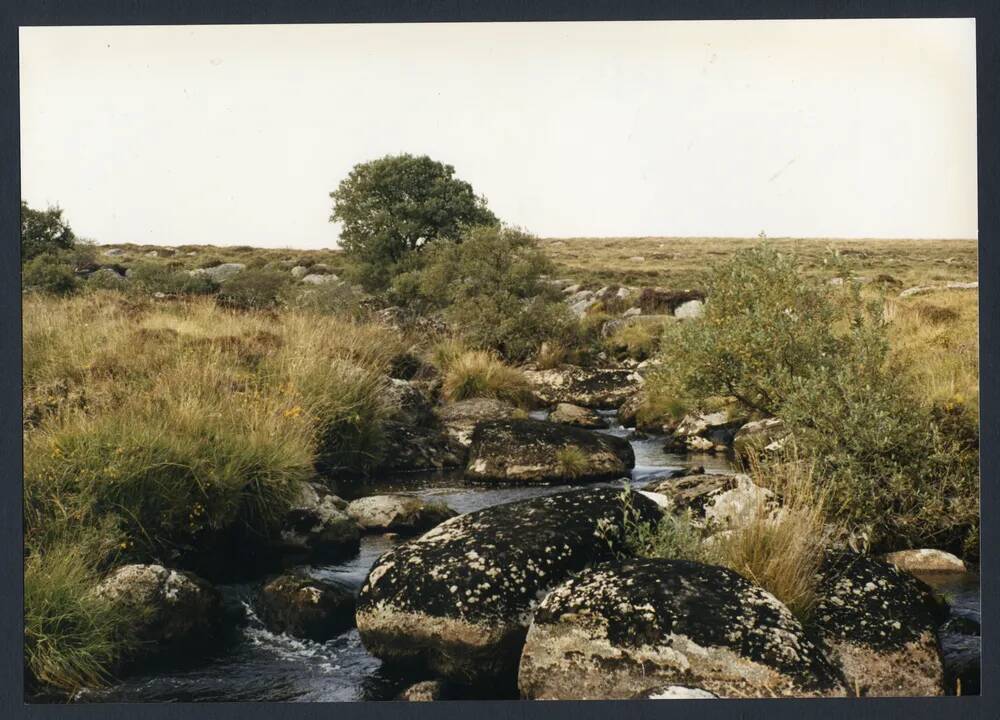 An image from the Dartmoor Trust Archive