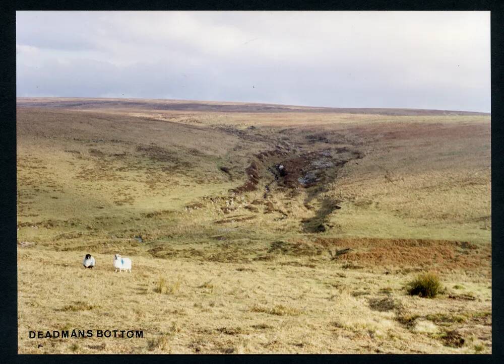 An image from the Dartmoor Trust Archive