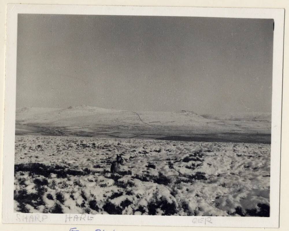 Winter view of Sharp Tor, Hare Tor and Ger Tor, from Blackdown