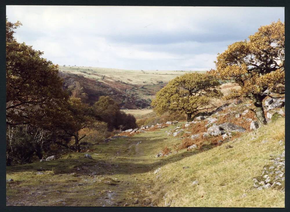 An image from the Dartmoor Trust Archive