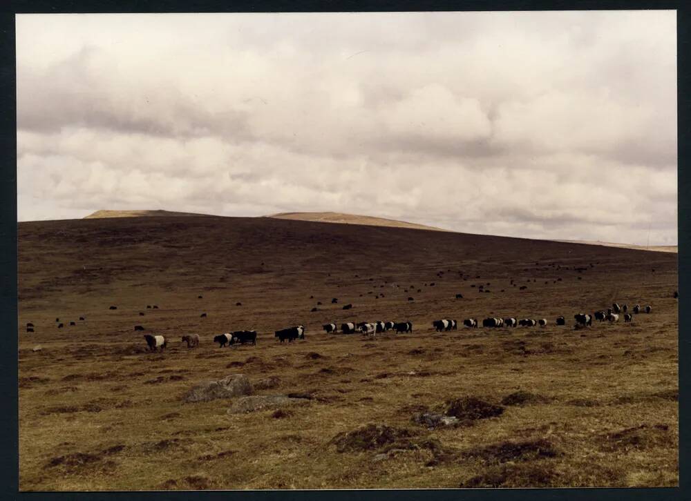 An image from the Dartmoor Trust Archive