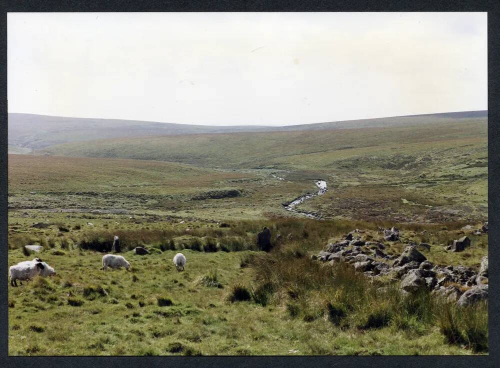 An image from the Dartmoor Trust Archive