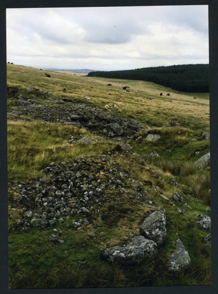 An image from the Dartmoor Trust Archive