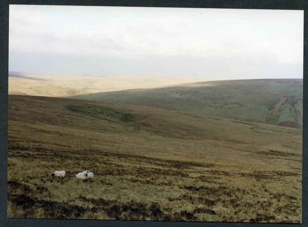 An image from the Dartmoor Trust Archive