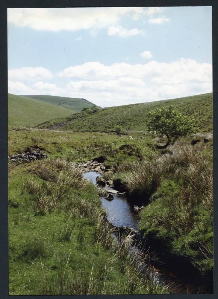 An image from the Dartmoor Trust Archive