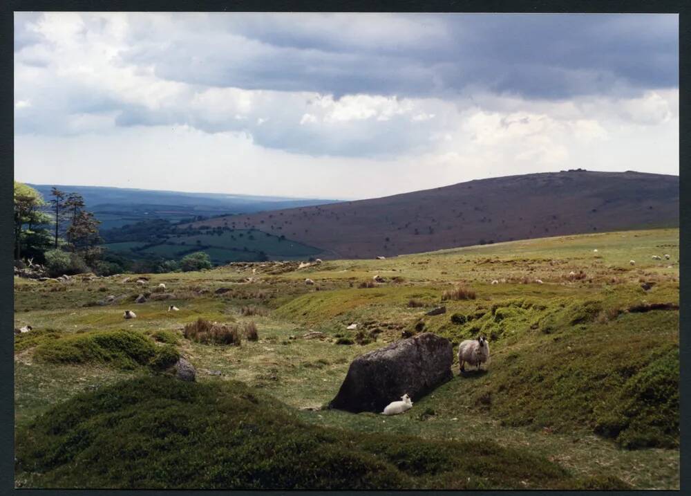 8/29 Above Glascombe Corner to Beacon Rocks 29/5/1991