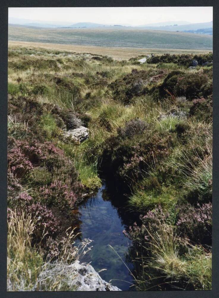 An image from the Dartmoor Trust Archive