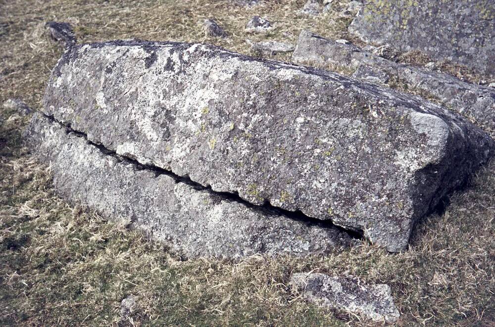 An image from the Dartmoor Trust Archive