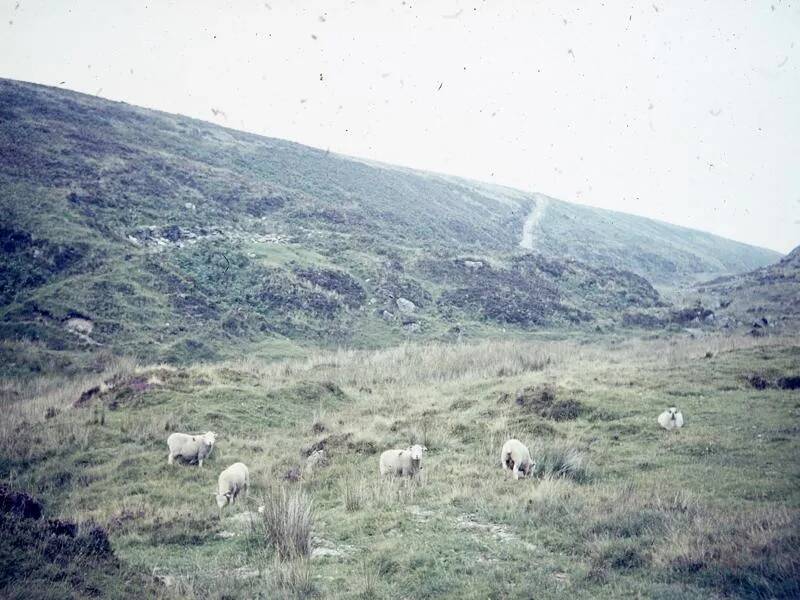 An image from the Dartmoor Trust Archive