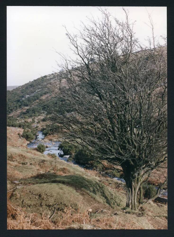 An image from the Dartmoor Trust Archive