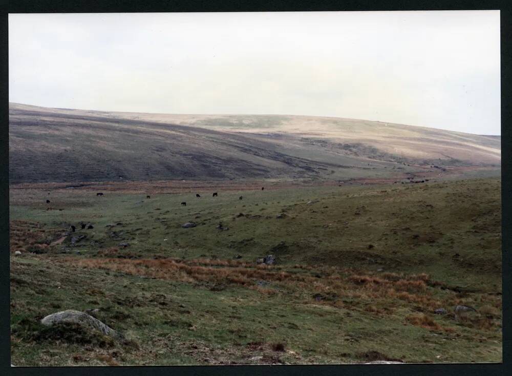 An image from the Dartmoor Trust Archive