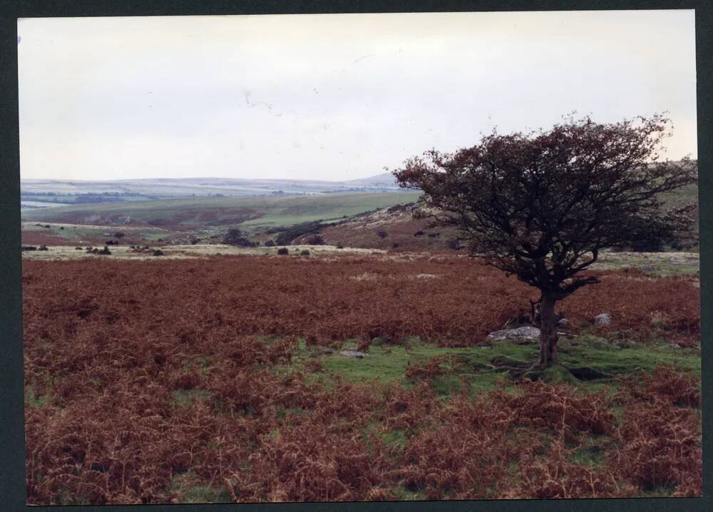 An image from the Dartmoor Trust Archive