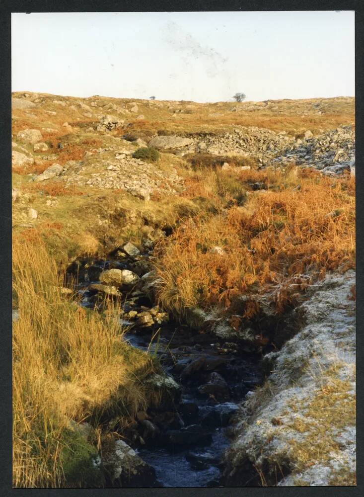 An image from the Dartmoor Trust Archive