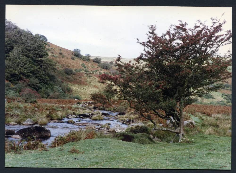 An image from the Dartmoor Trust Archive