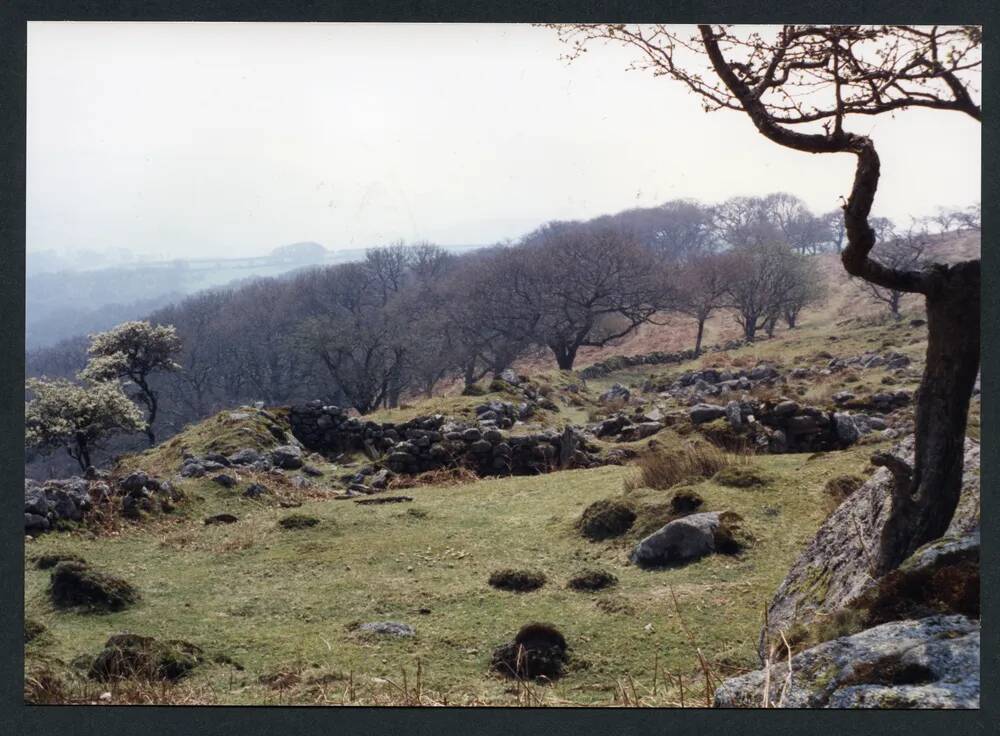 An image from the Dartmoor Trust Archive