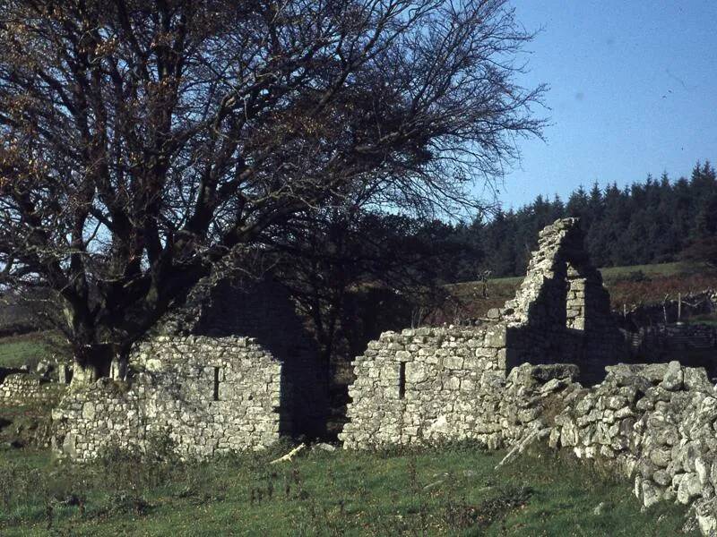 An image from the Dartmoor Trust Archive