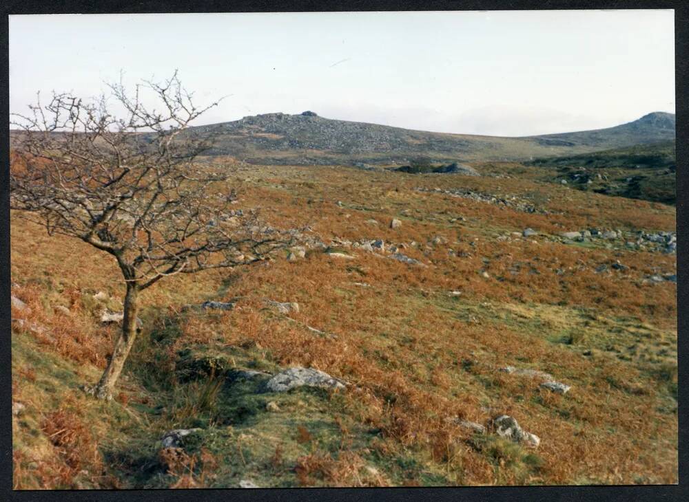 An image from the Dartmoor Trust Archive