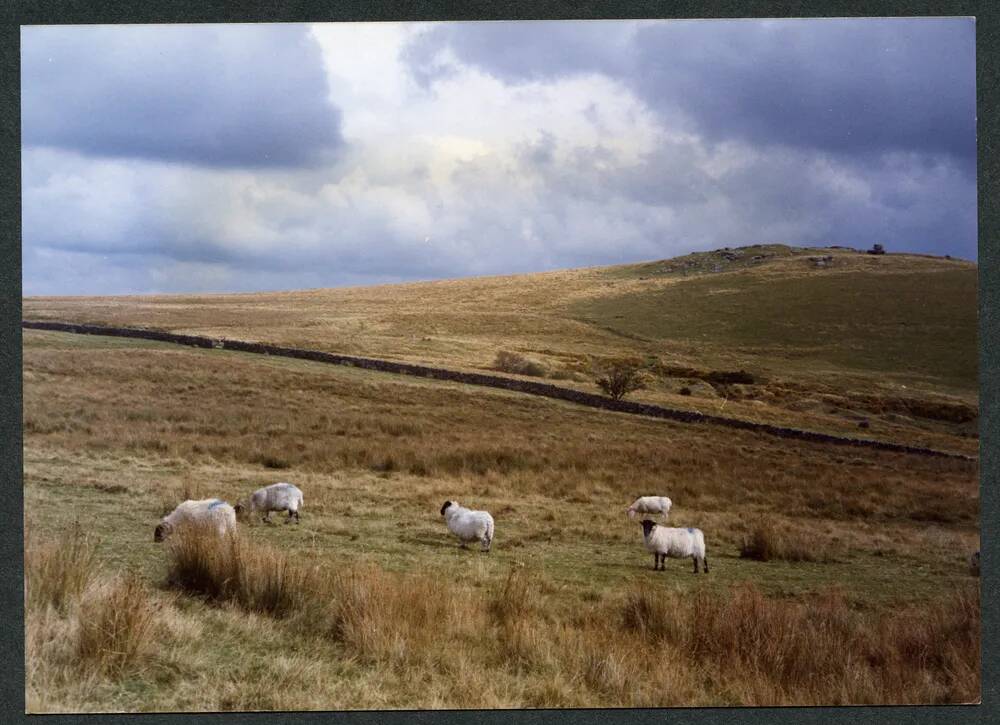 An image from the Dartmoor Trust Archive