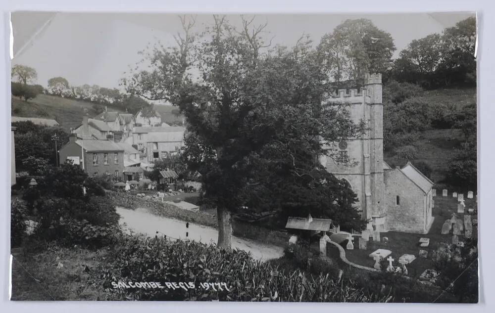 Salcombe regis