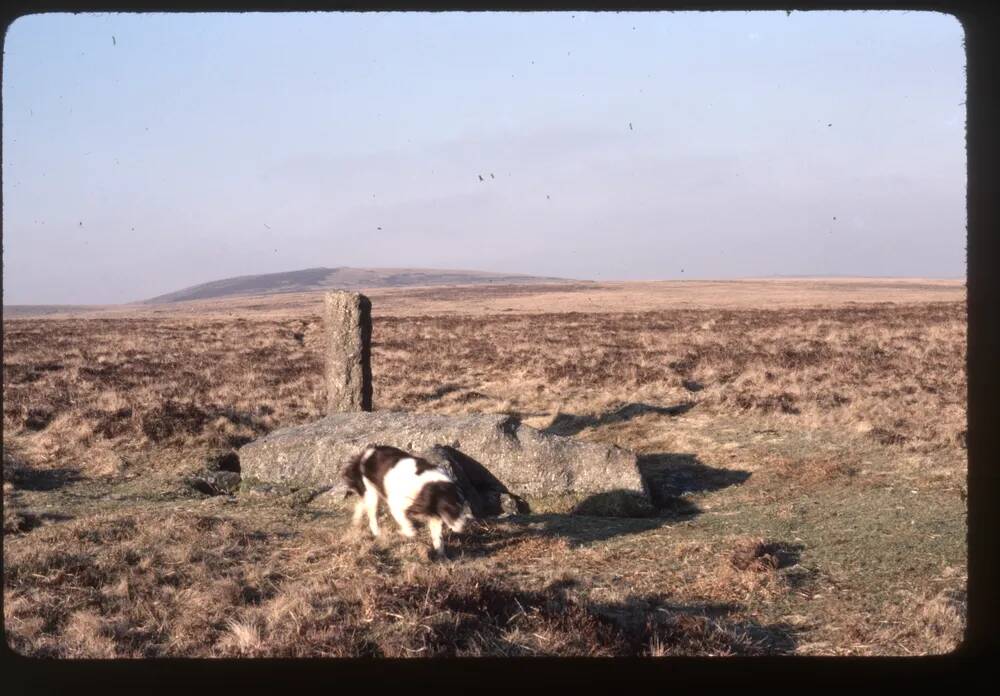 Recumbent Menhir