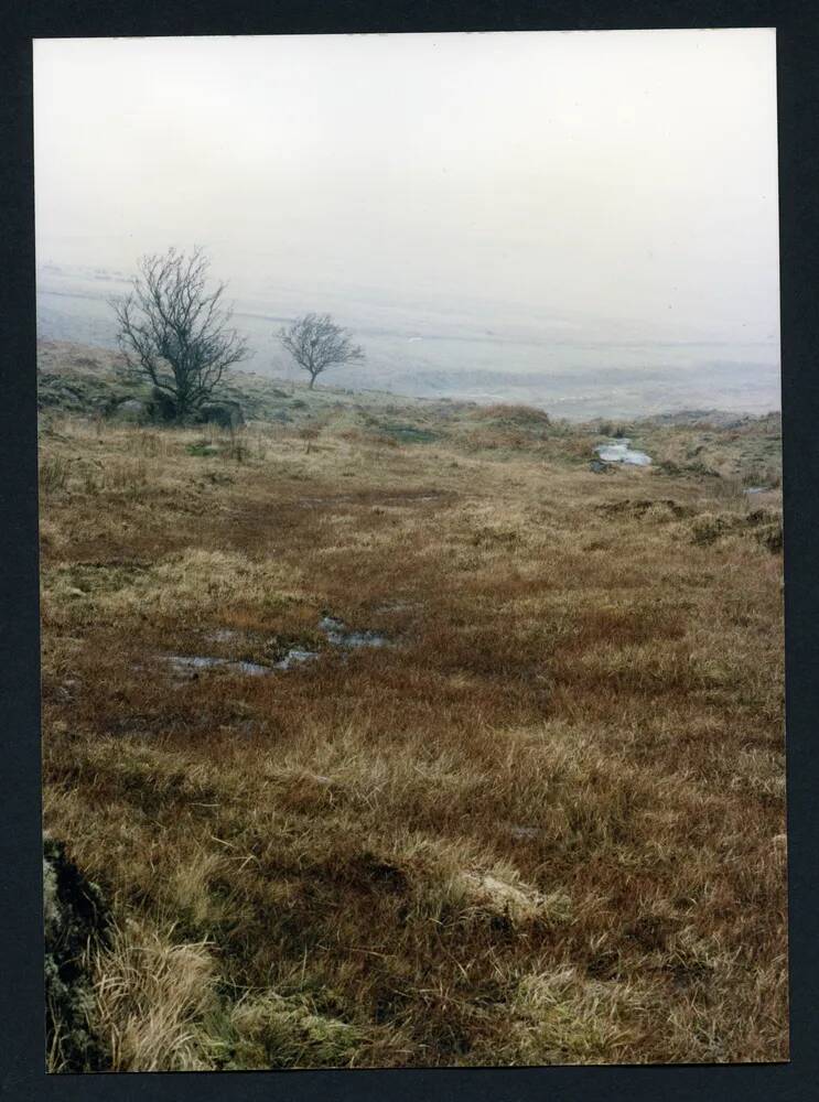 An image from the Dartmoor Trust Archive