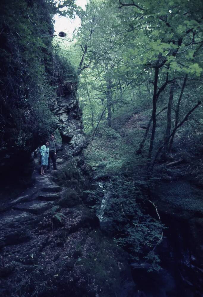 An image from the Dartmoor Trust Archive