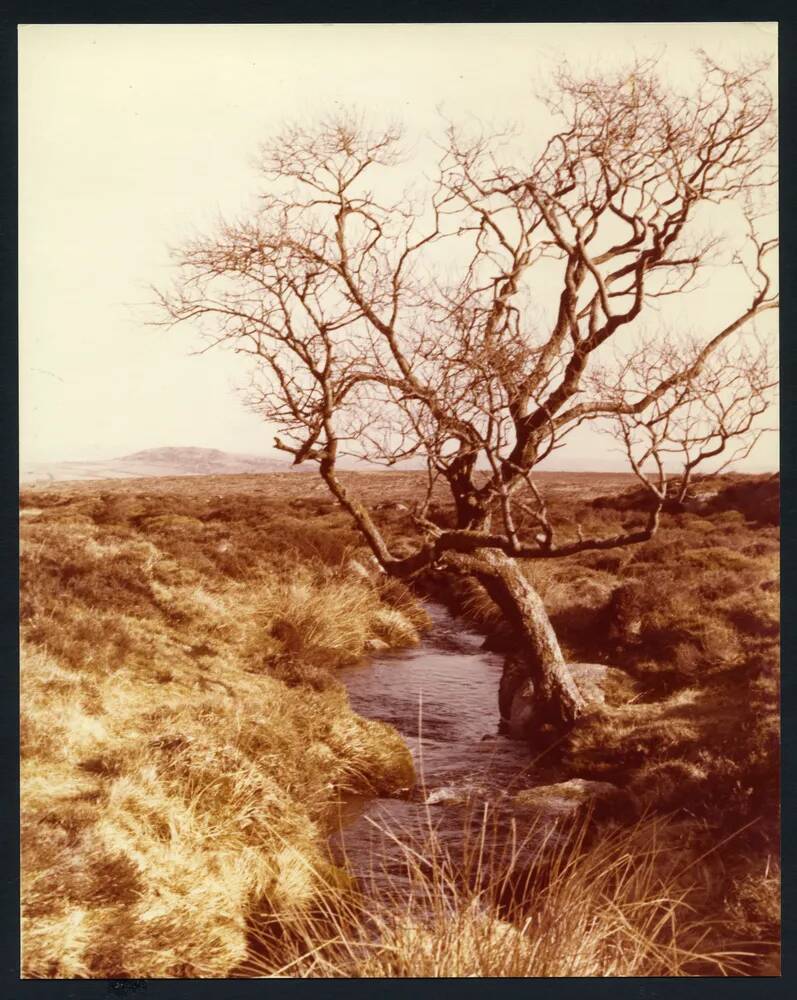 An image from the Dartmoor Trust Archive