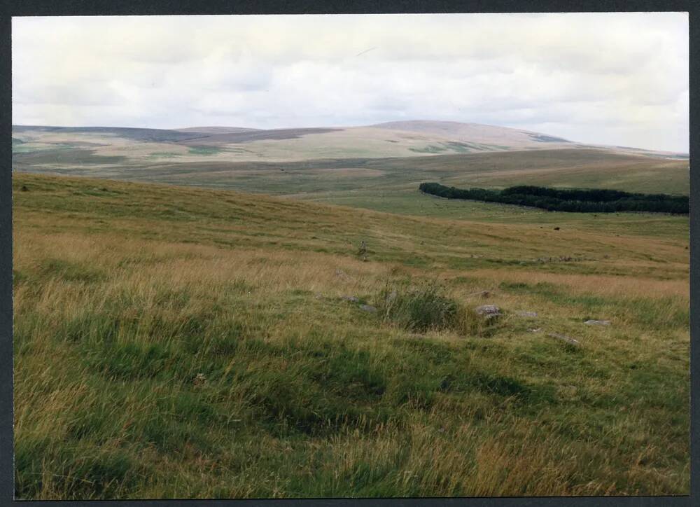 An image from the Dartmoor Trust Archive