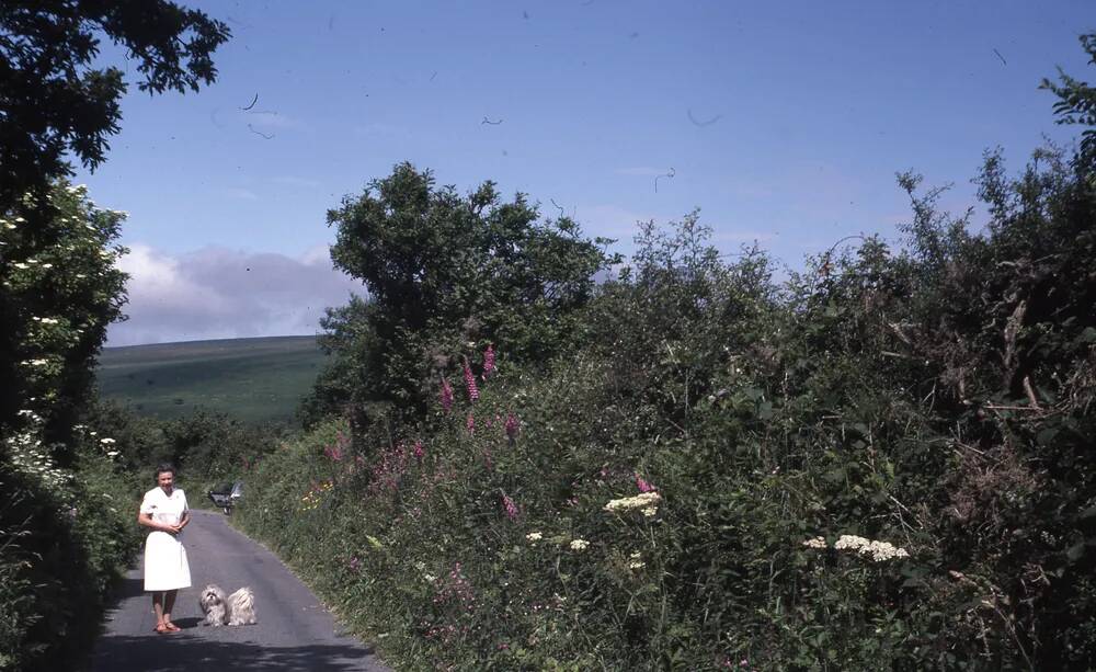 An image from the Dartmoor Trust Archive