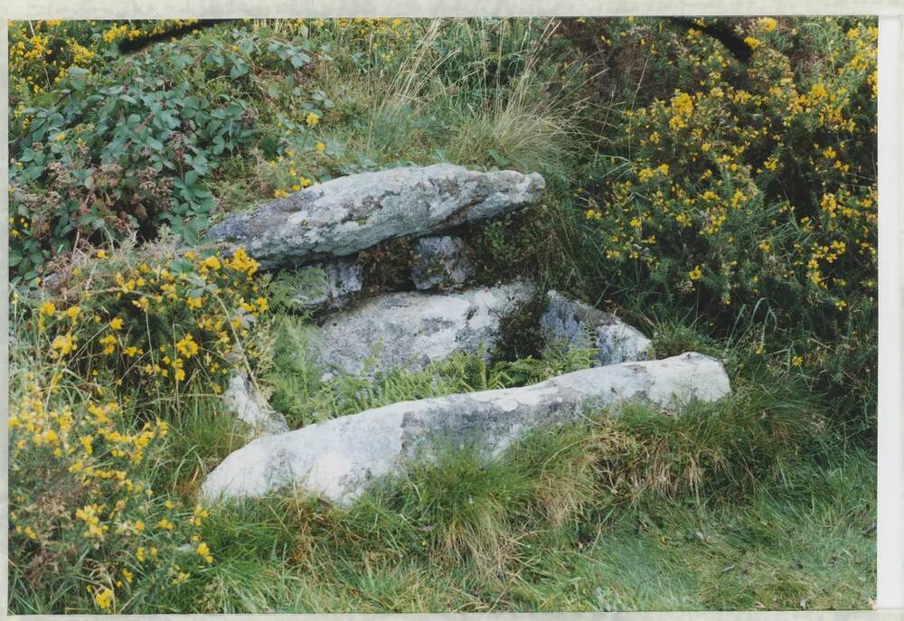 An image from the Dartmoor Trust Archive