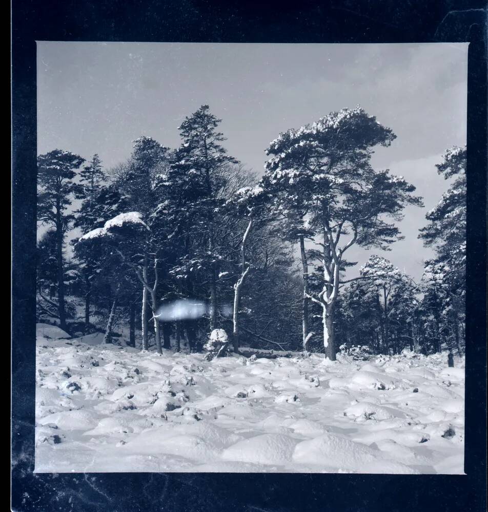 An image from the Dartmoor Trust Archive