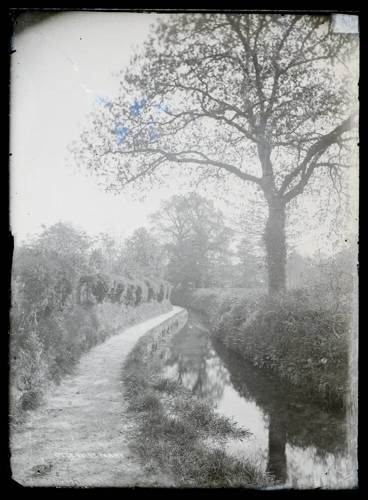 Country lane + ditch, Ottery St Mary