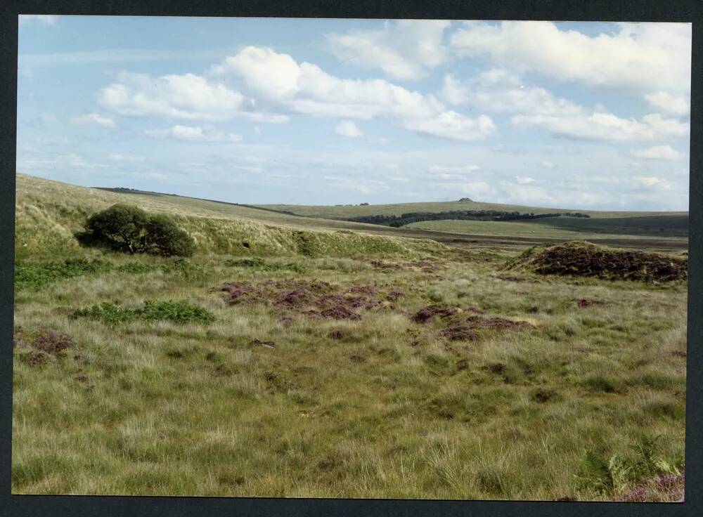 An image from the Dartmoor Trust Archive