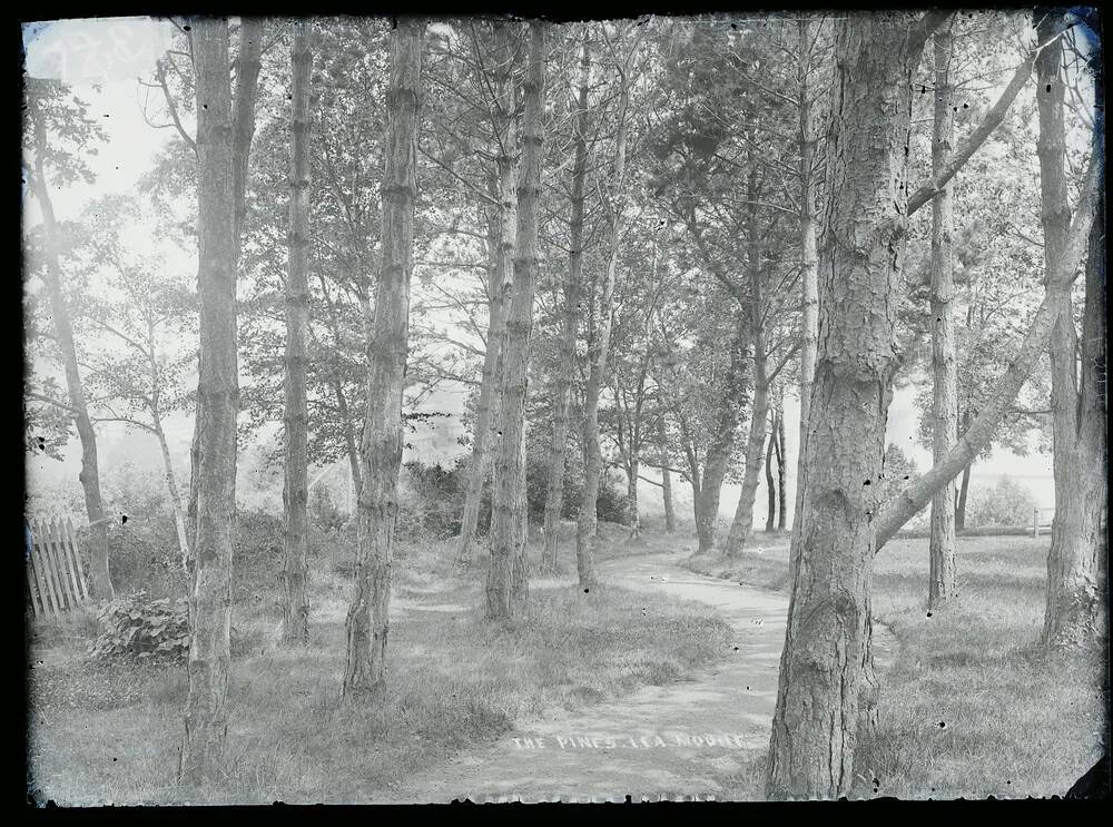 'The Pines', Lea Mount, Dawlish