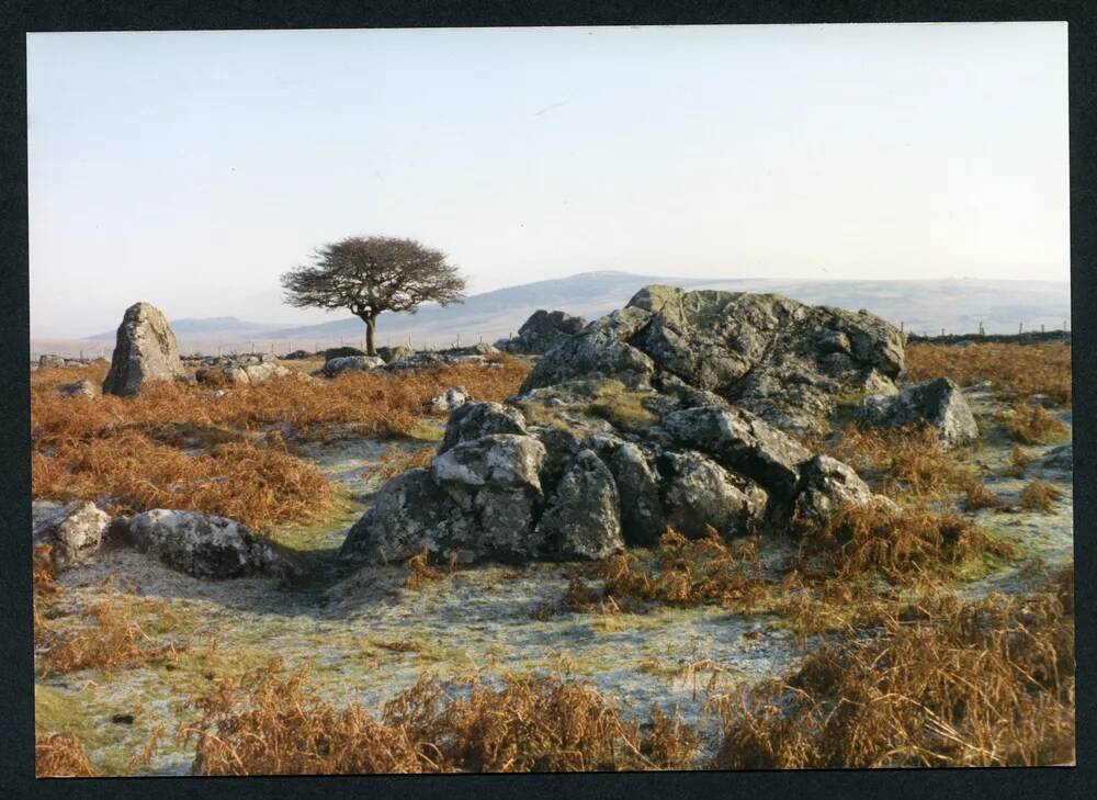 An image from the Dartmoor Trust Archive