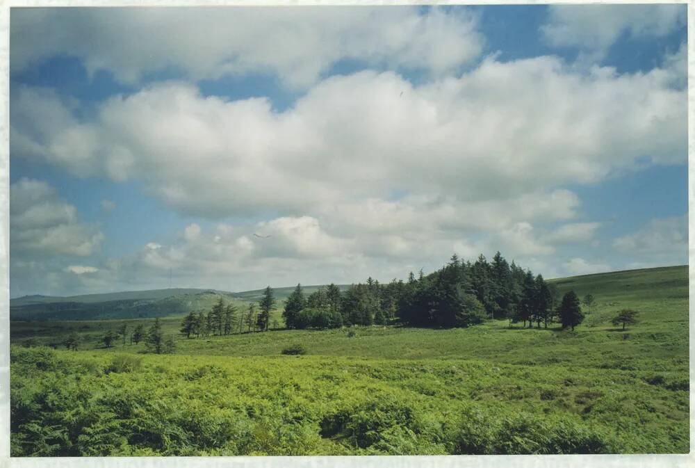 An image from the Dartmoor Trust Archive