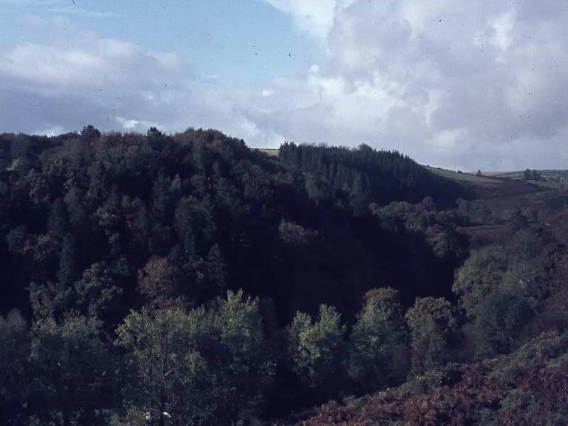 An image from the Dartmoor Trust Archive