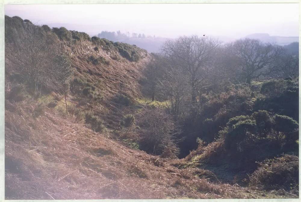 An image from the Dartmoor Trust Archive