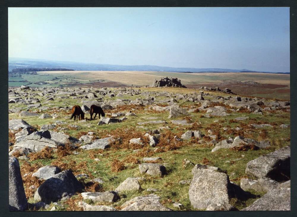 An image from the Dartmoor Trust Archive