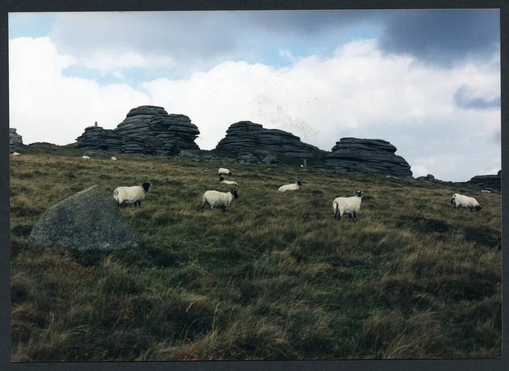 An image from the Dartmoor Trust Archive