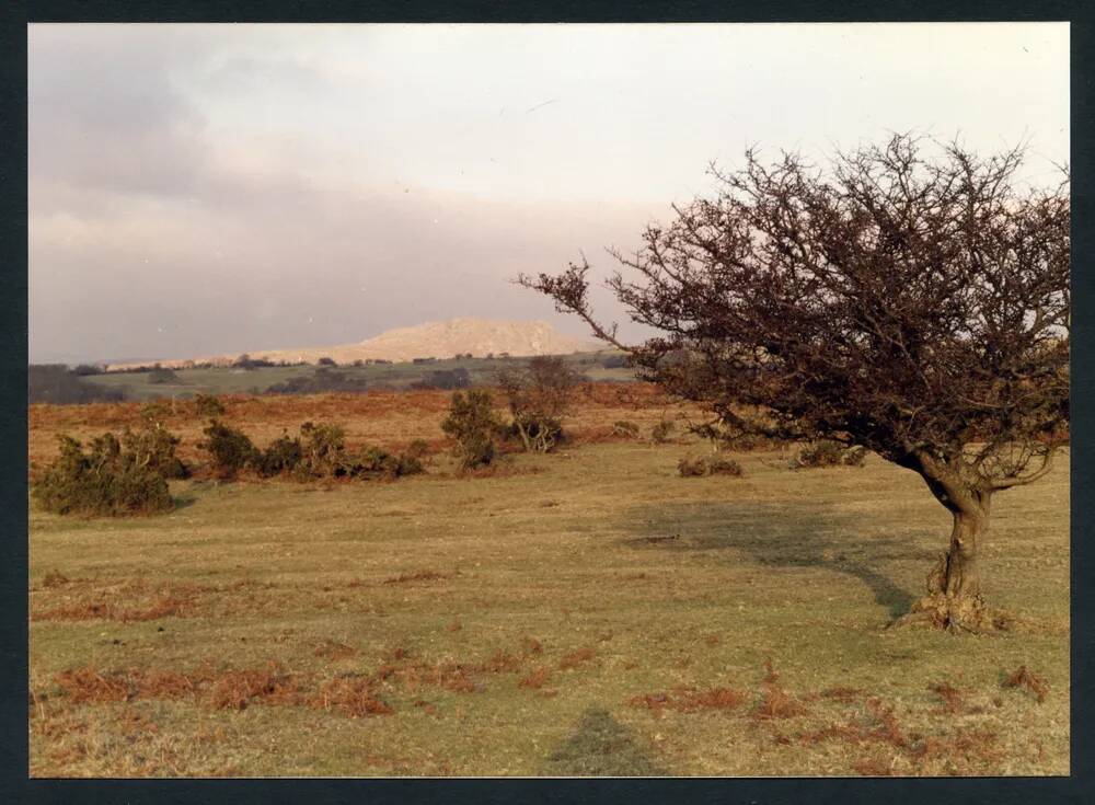 An image from the Dartmoor Trust Archive