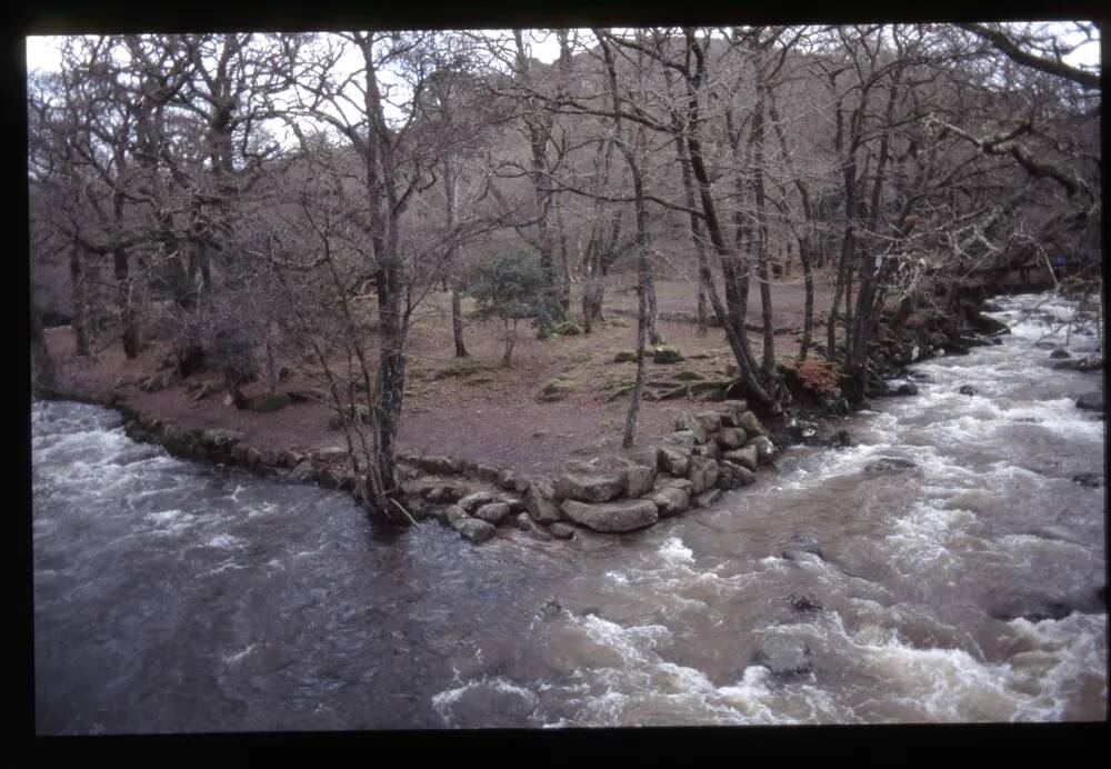 Confluence of  Plym and Meavy at Shaugh