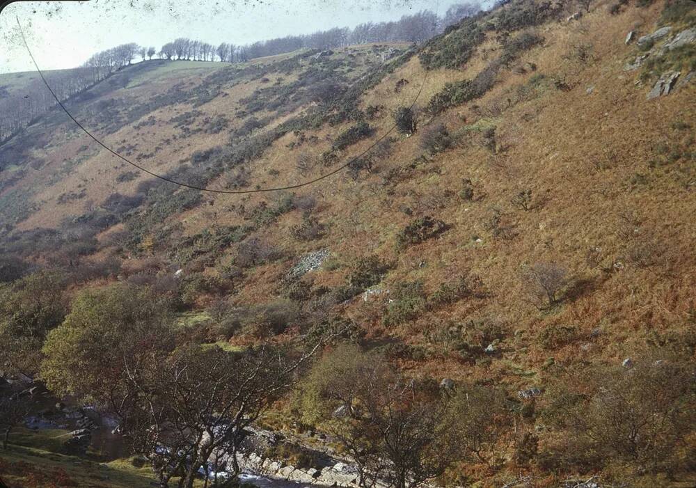 An image from the Dartmoor Trust Archive