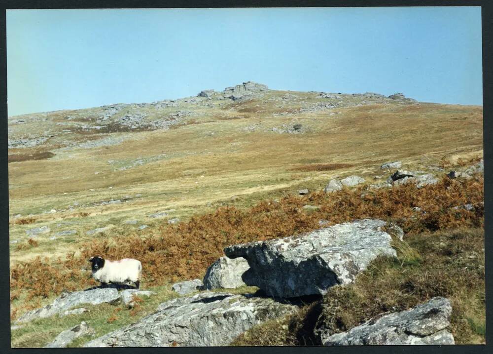 An image from the Dartmoor Trust Archive