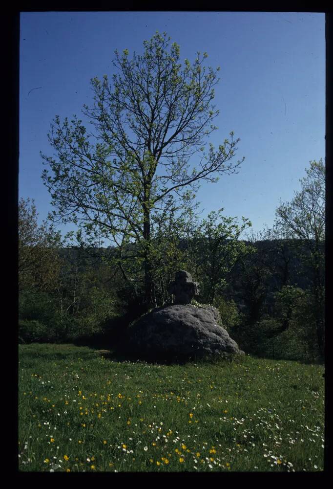 Higher Coombe Cross in Cross Park field.