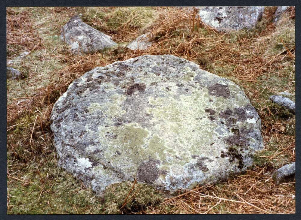 An image from the Dartmoor Trust Archive