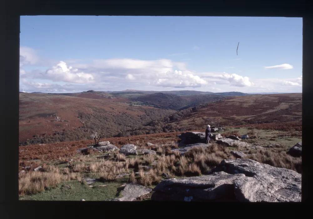 View from Bench Tor